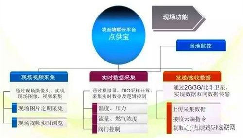 lng物联网技术团队为您竭诚服务